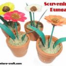 Souvenir Bunga Edelweis